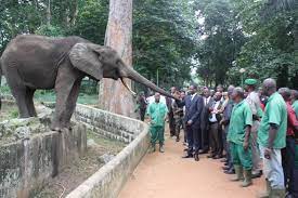 Côte d'Ivoire: Après plus d'un an de fermeture, le zoo d'Abidjan rouvre ses portes 1 Zoo Abidjan