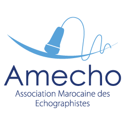 LOGO AMECHO