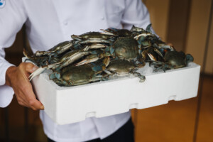 crabe bleu lollobrigida 45 millions deuros alloues pour lurgence