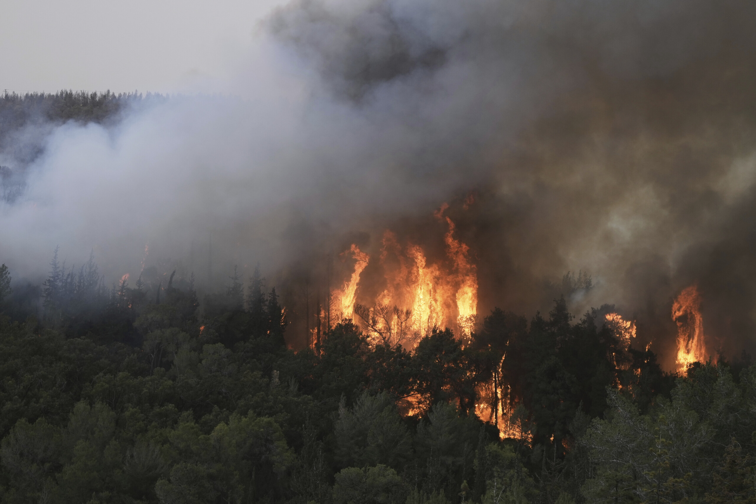 les incendies a jerusalem pourraient etre les plus importants de lhistoire disrael scaled