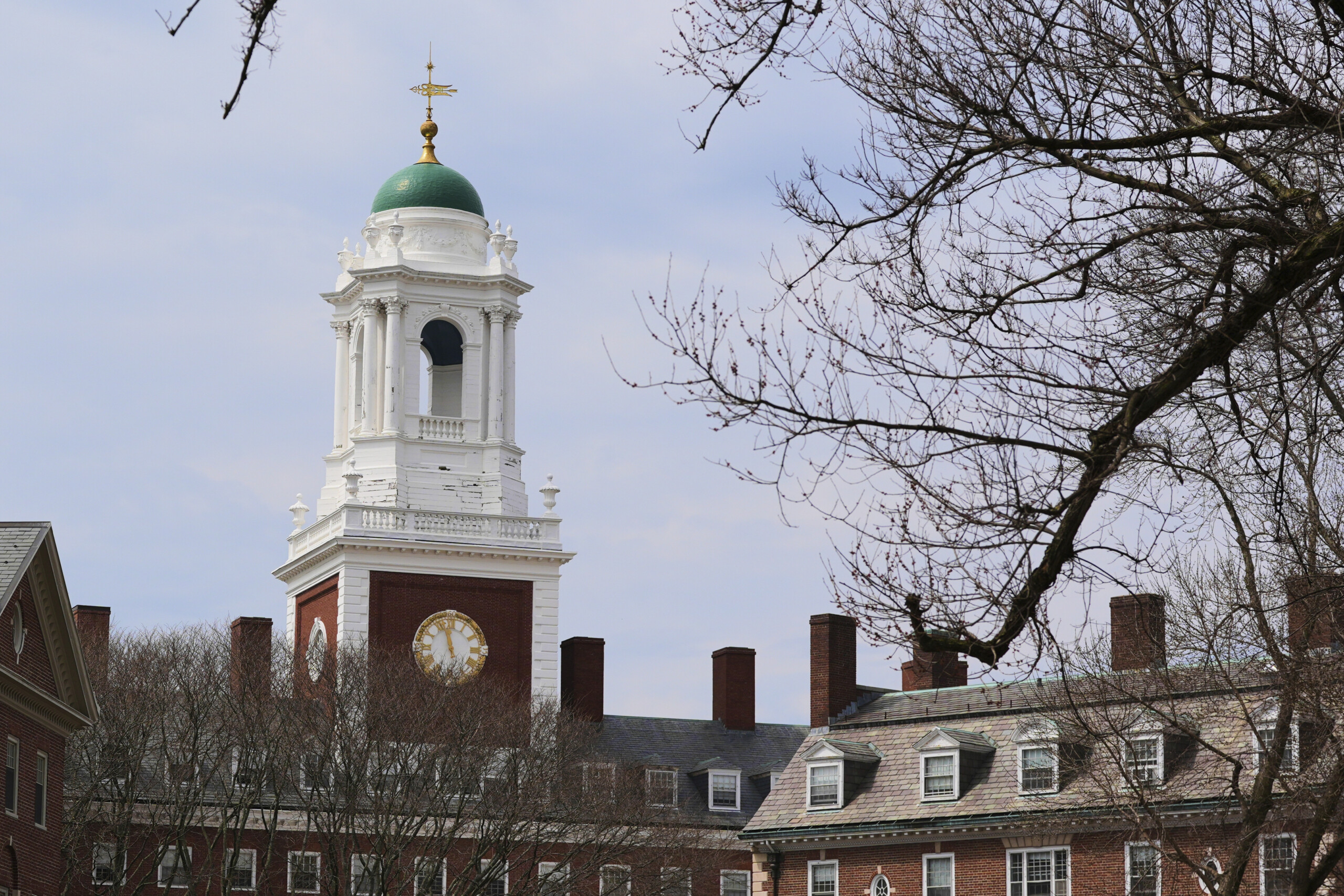 etats unis trump nous supprimerons lexoneration fiscale de harvard scaled
