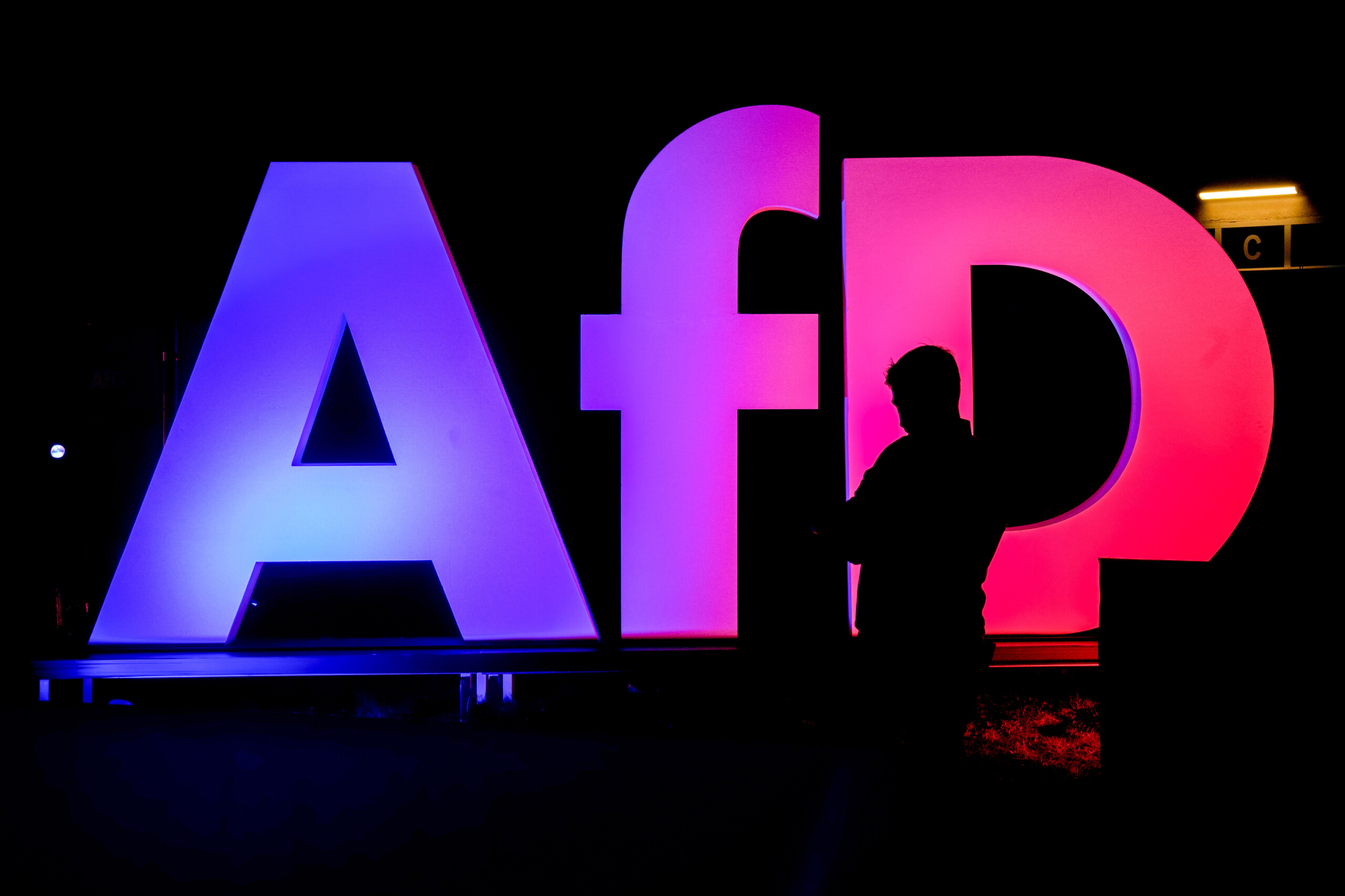 allemagne medias lafd depose un recours contre les services de renseignement allemands scaled