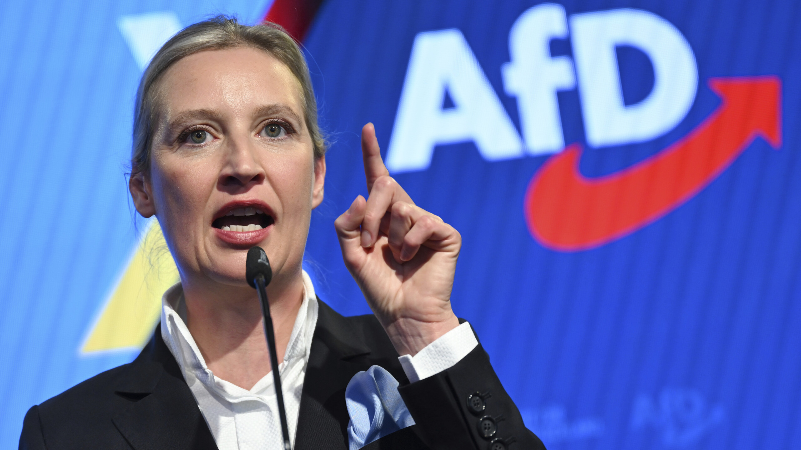 allemagne les services de renseignement suspendent temporairement la classification de lafd comme extremiste dextreme droite scaled