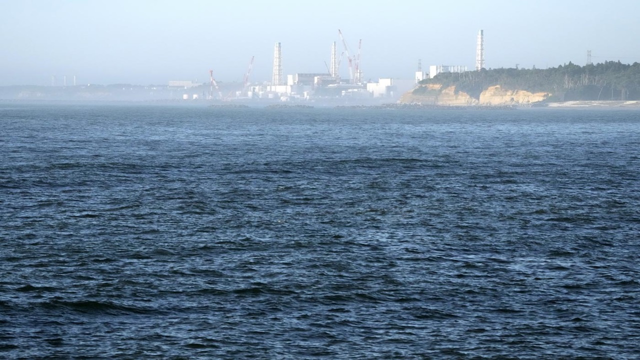 fukushima la chine va reprendre les importations de poisson suspendues par le japon