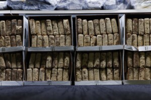 drogues record de deces lies a la cocaine en italie 80 en 2024