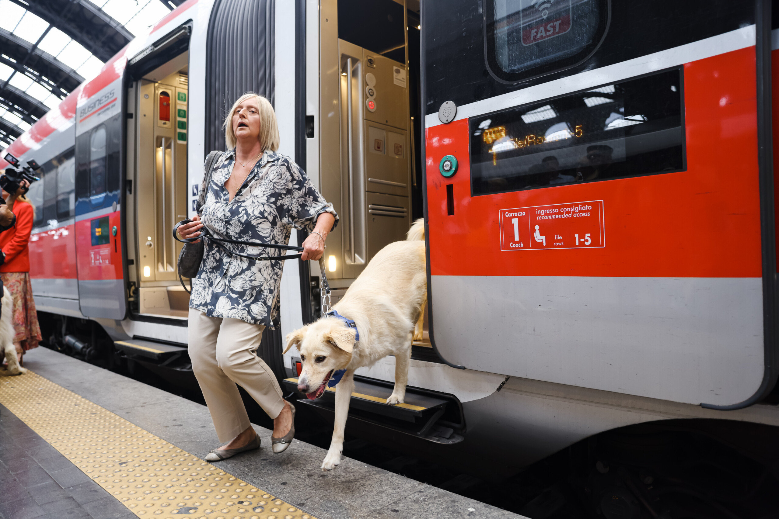trenitalia les chiens voyagent gratuitement sur les trains frecce et intercity jusquau 15 septembre scaled