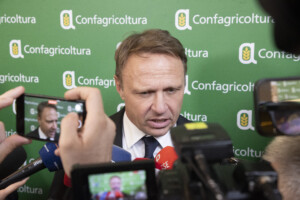 droits de douane lollobrigida les tarifs accroissent lincertitude un compromis est necessaire