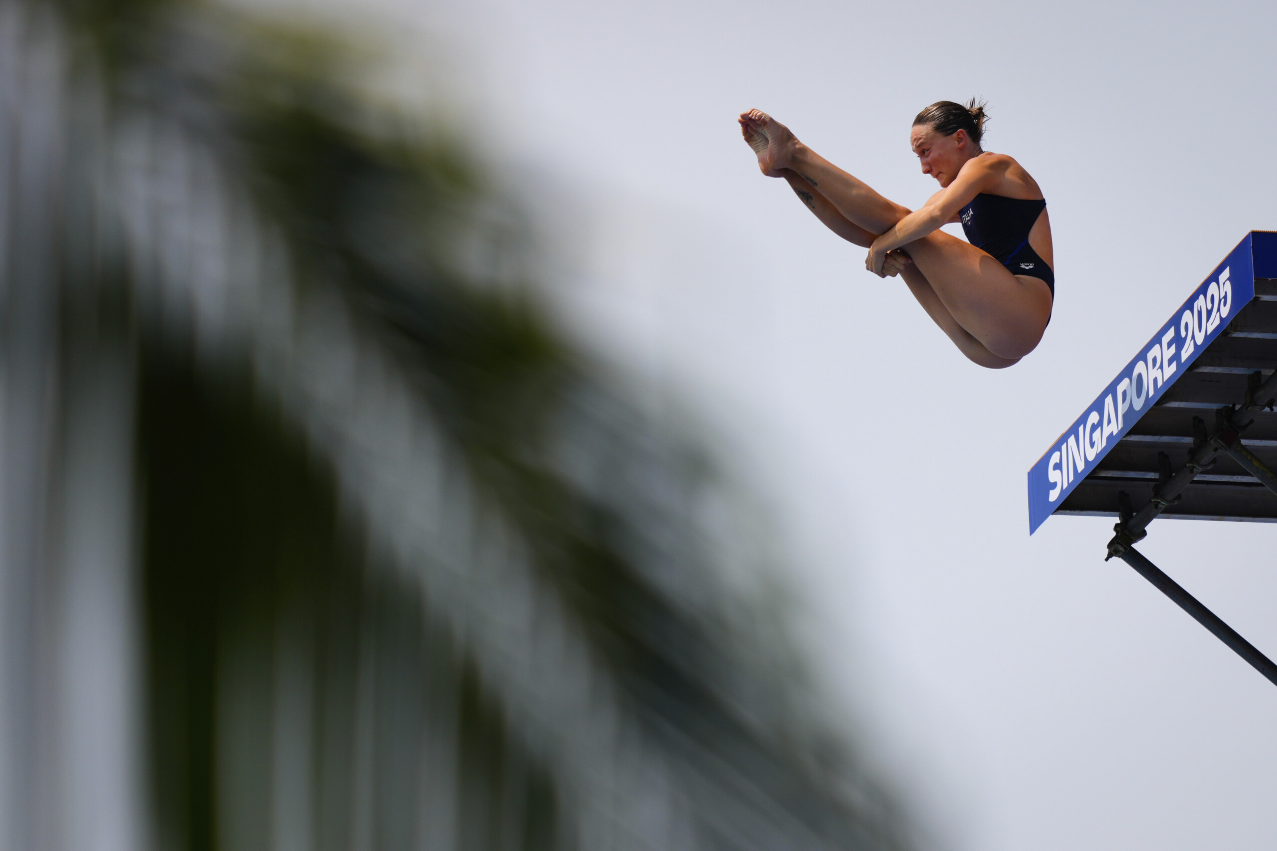 natation championnats du monde de plongeon elisa cosetti en finale du 20 metres scaled