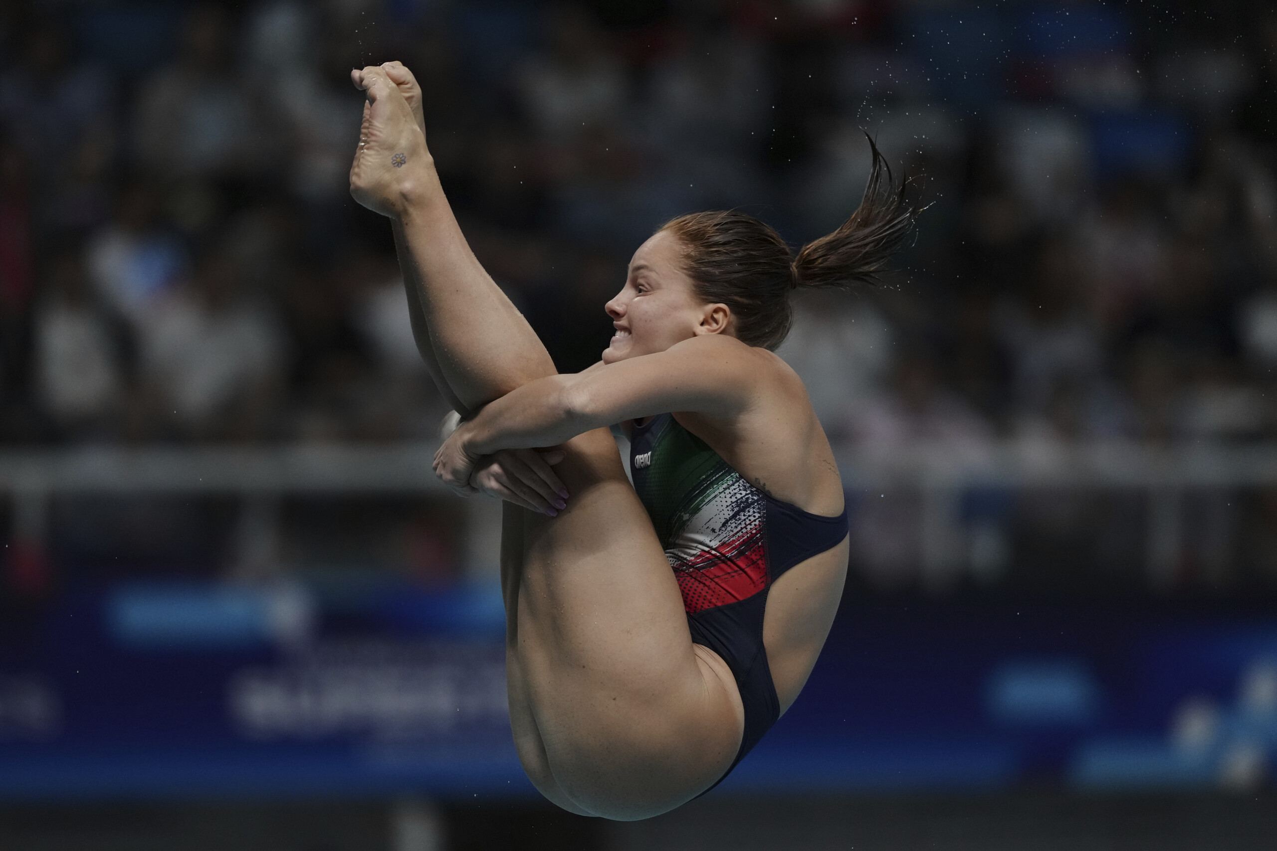 natation championnats du monde pellacani en finale du metre bertocchi elimine scaled