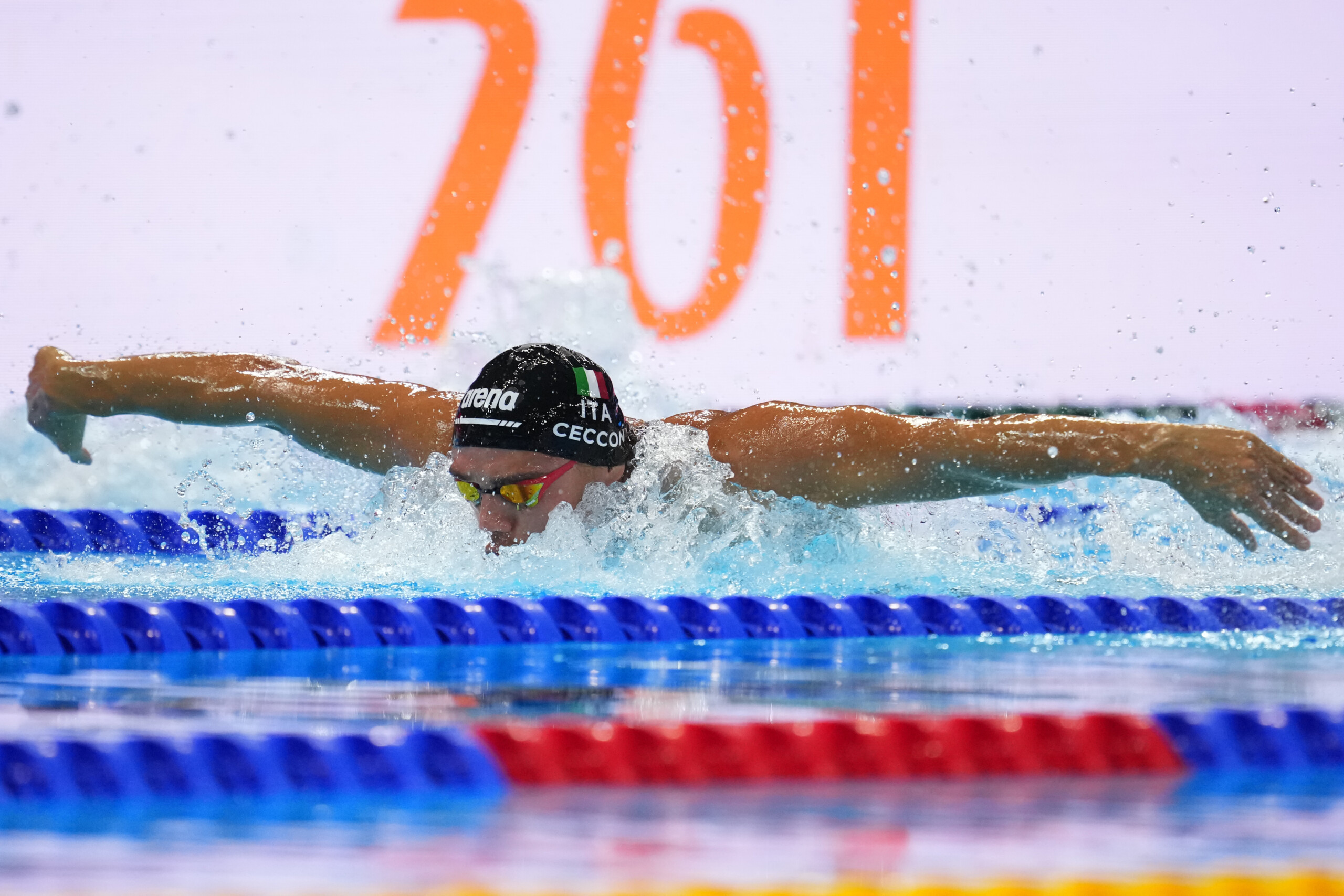 natation championnats du monde a singapour ceccon huitieme en finale du 100 m papillon medaille dor pour grousset scaled