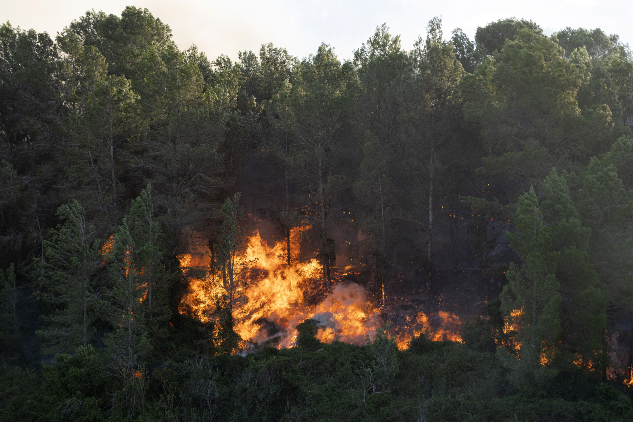 espagne incendies dans plusieurs regions des milliers de personnes ont passe la nuit hors de chez elles scaled