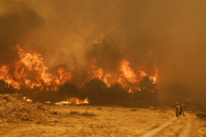 incendies le portugal demande laide du mecanisme de protection civile de lue