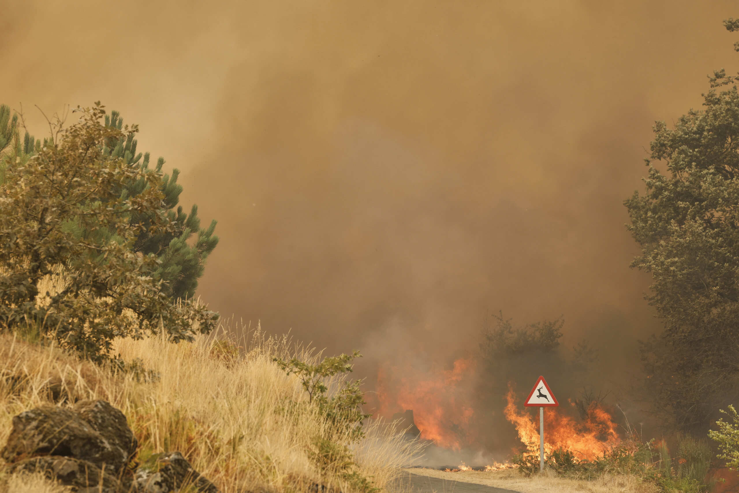 espagne 2 566 habitants de 43 communes evacues en raison des incendies scaled