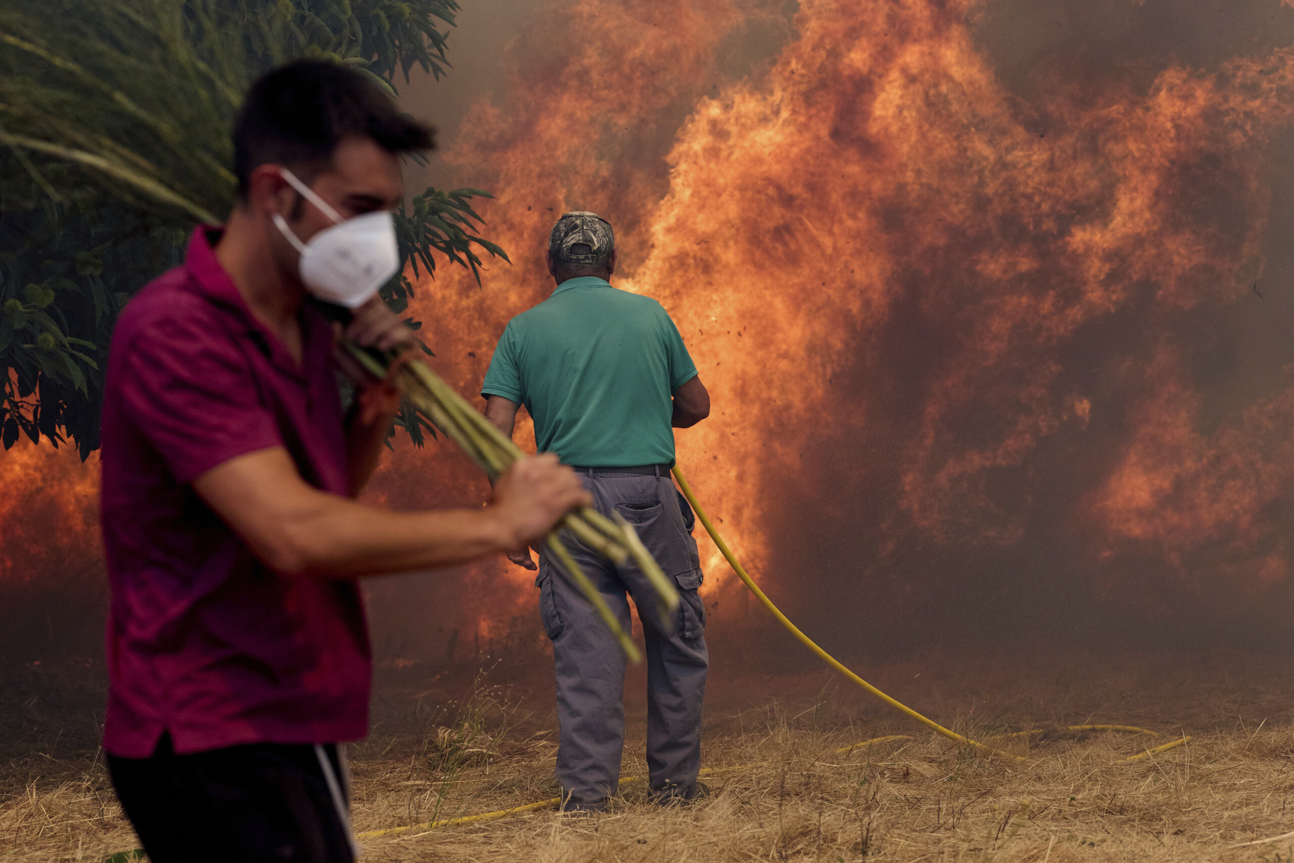 espagne 7 incendies toujours actifs a ourense plus de 67 500 hectares brules scaled