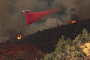 espagne stabilisation apres 11 jours de lincendie de jarilla 17 000 hectares brules