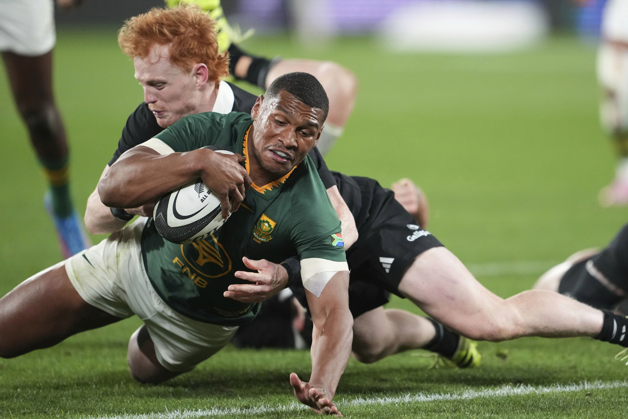 rugby lafrique du sud ecrase la nouvelle zelande 43 10 pire defaite de lhistoire pour les all blacks scaled