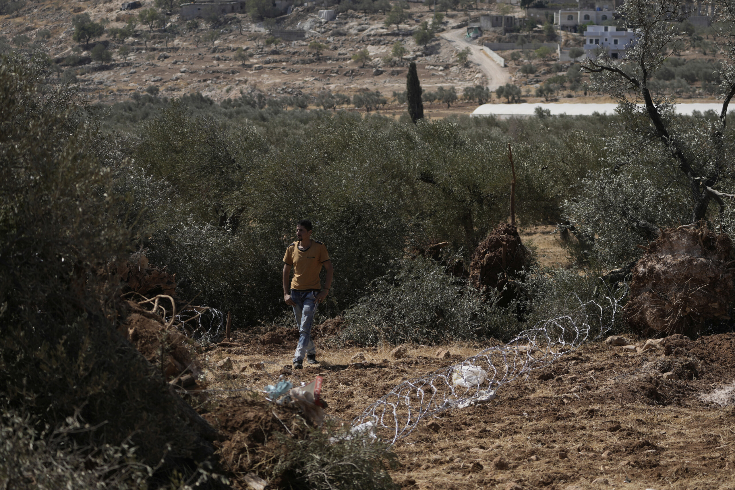 moyen orient la jordanie rouvre partiellement le passage dallenby non merci scaled