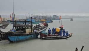 le typhon bualoi frappe le vietnam faisant au moins neuf morts et 17 blesses