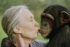 science jane goodall ethologue celebre pour ses etudes sur les chimpanzes est decedee