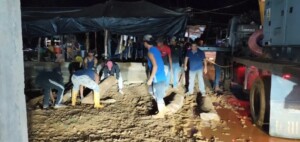 venezuela au moins 14 morts dans leffondrement dune mine dor