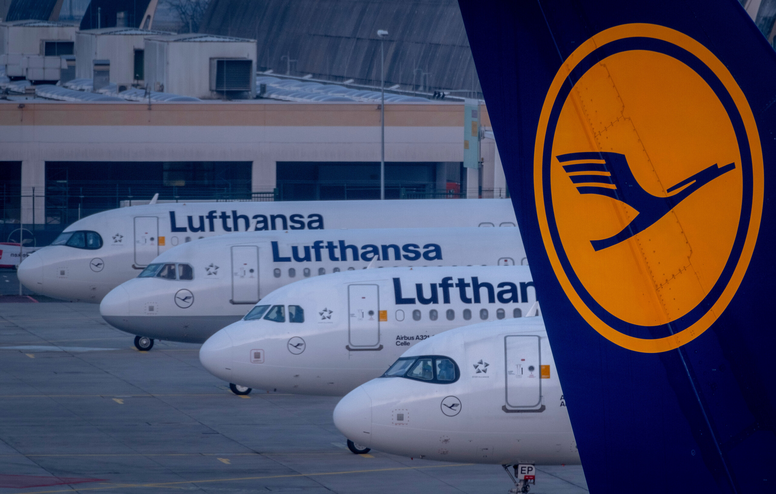 Allemagne, Bild: Tui et Lufthansa quittent l’hôtel du Caire rebaptisé 'Hamas Hotel' 1 allemagne bild tui et lufthansa quittent lhotel du caire rebaptise hamas hotel scaled
