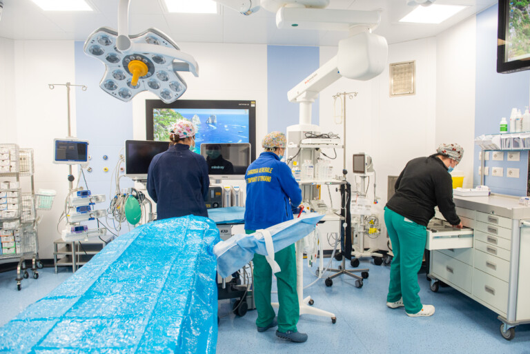 istat en 2024 six millions de personnes ont renonce a des consultations specialisees et a des examens medicaux