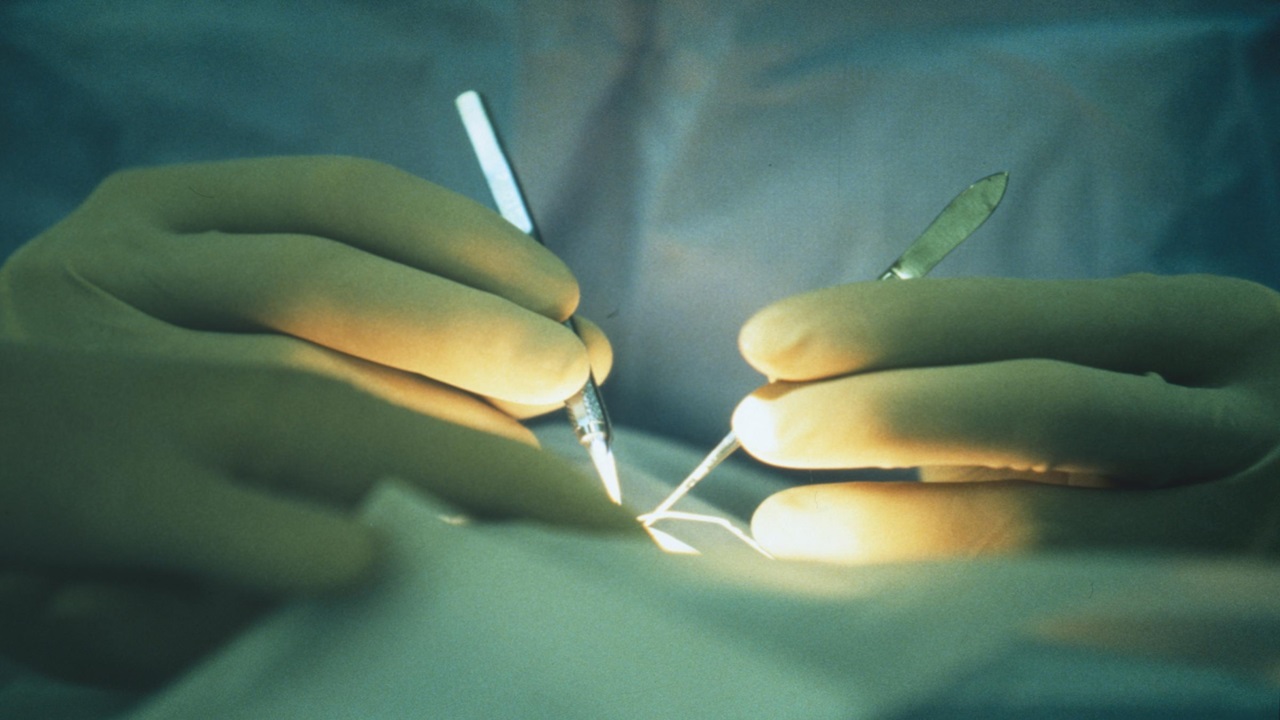 sante coeur dathenes a turin pour une transplantation sans jamais cesser de battre