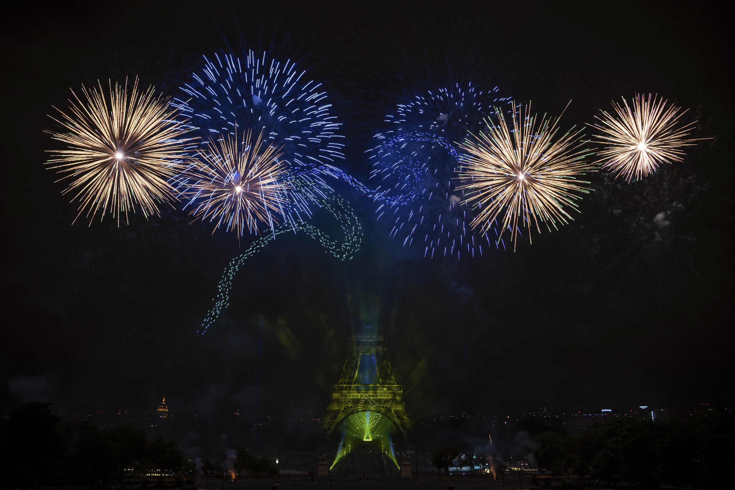 reveillon du nouvel an le wwf lance un appel aux municipalites arretons les petards et les feux dartifice scaled