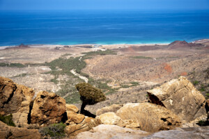 yemen 86 italiens bloques sur lile de socotra