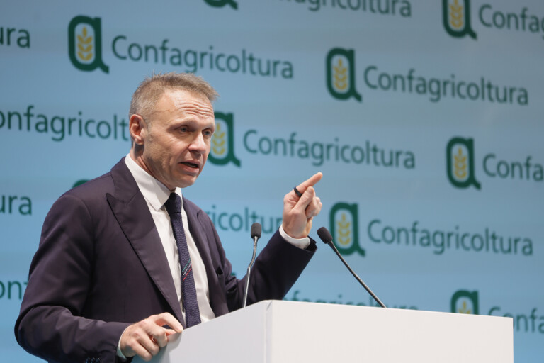 mercosur lollobrigida seuil de prix du mecanisme de sauvegarde abaisse a 5