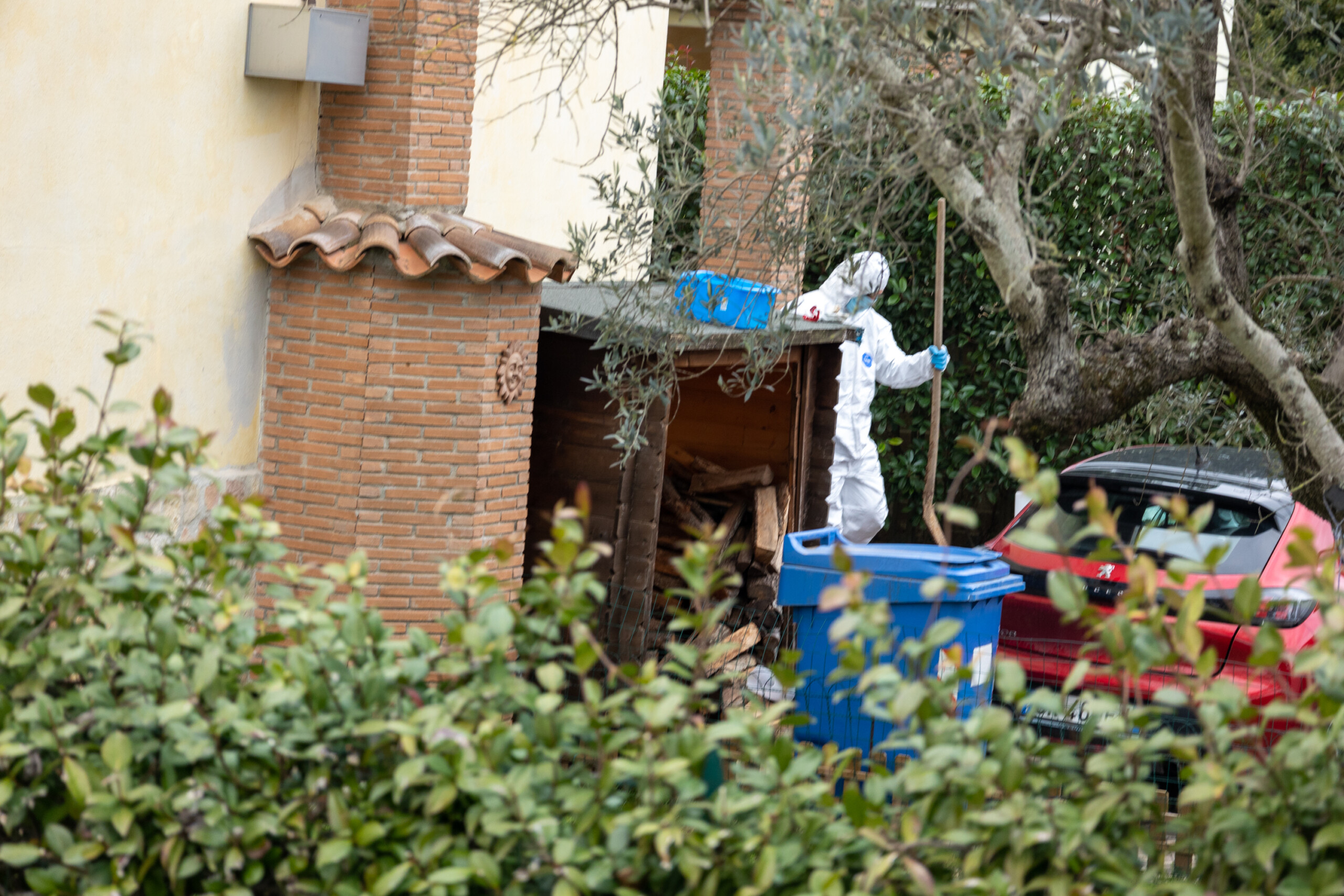 anguillara avocat de la famille federica naurait jamais abandonne son fils scaled