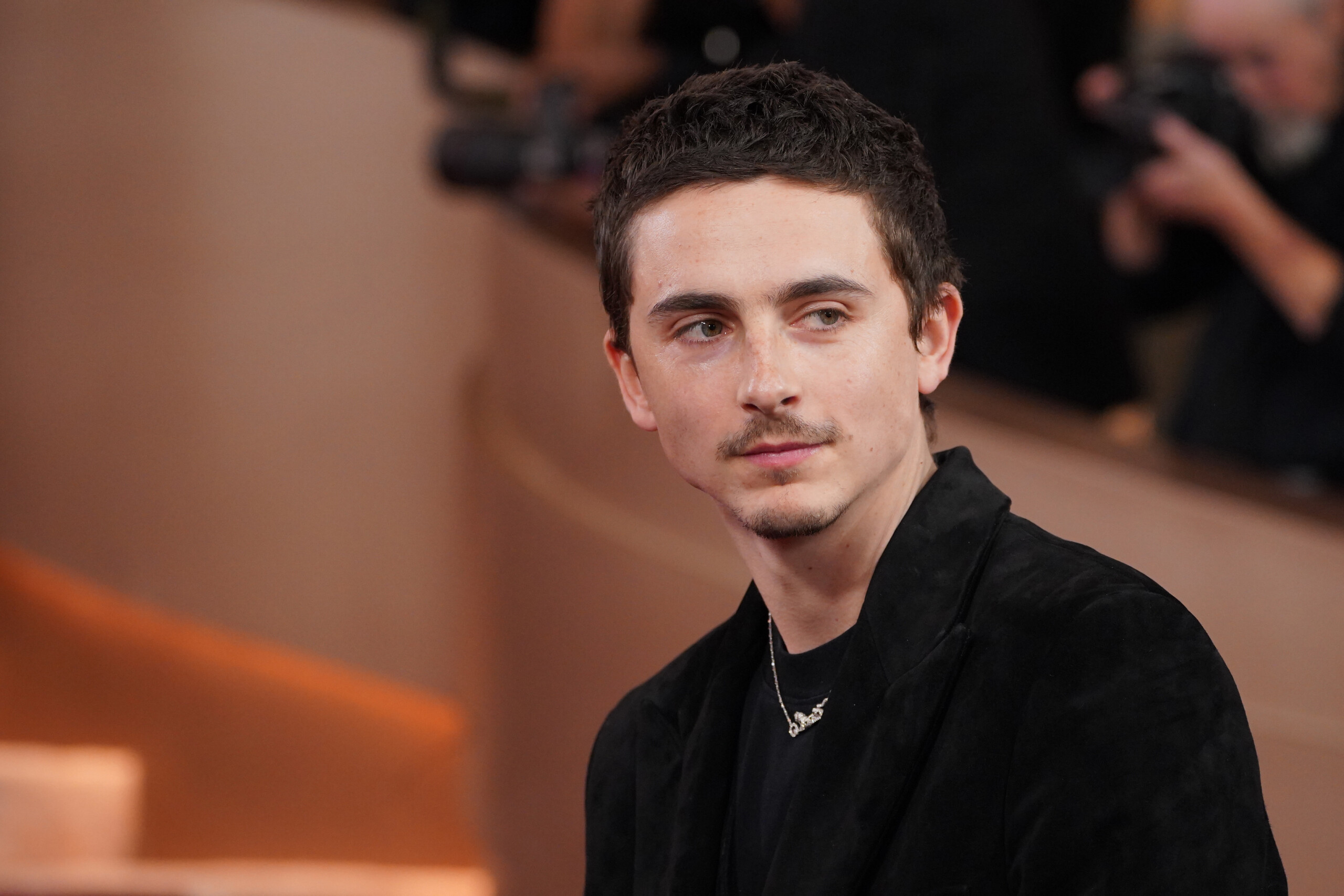Oscars 2026 : Chalamet et Di Caprio parmi les candidats au titre de meilleur acteur 1 oscars 2026 chalamet et di caprio parmi les candidats au titre de meilleur acteur scaled