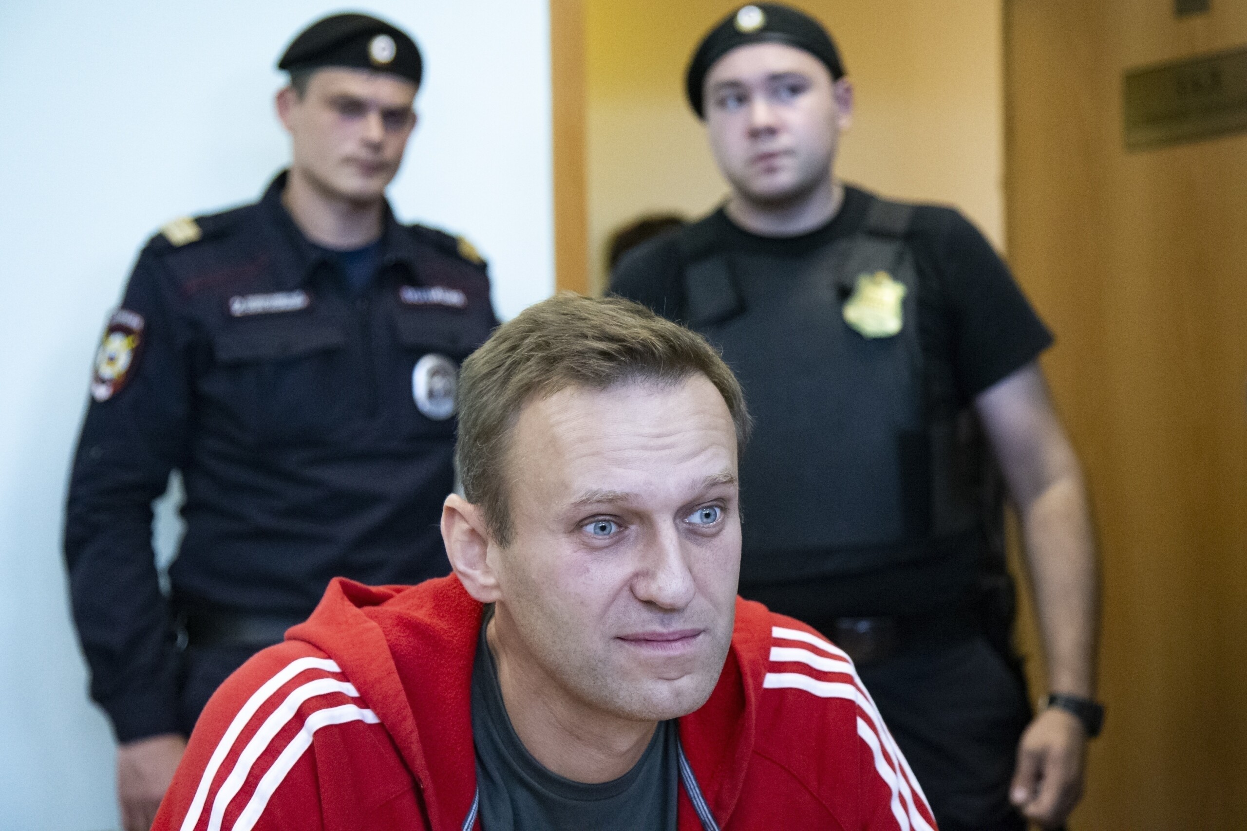 navalny 5 pays europeens morts dun empoisonnement a la toxine de grenouille scaled