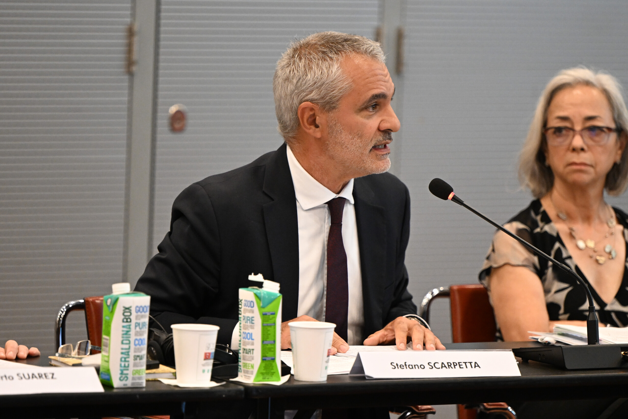 OCDE : Stefano Scarpetta nommé nouveau chef économiste 1 ocde stefano scarpetta nomme nouveau chef economiste scaled