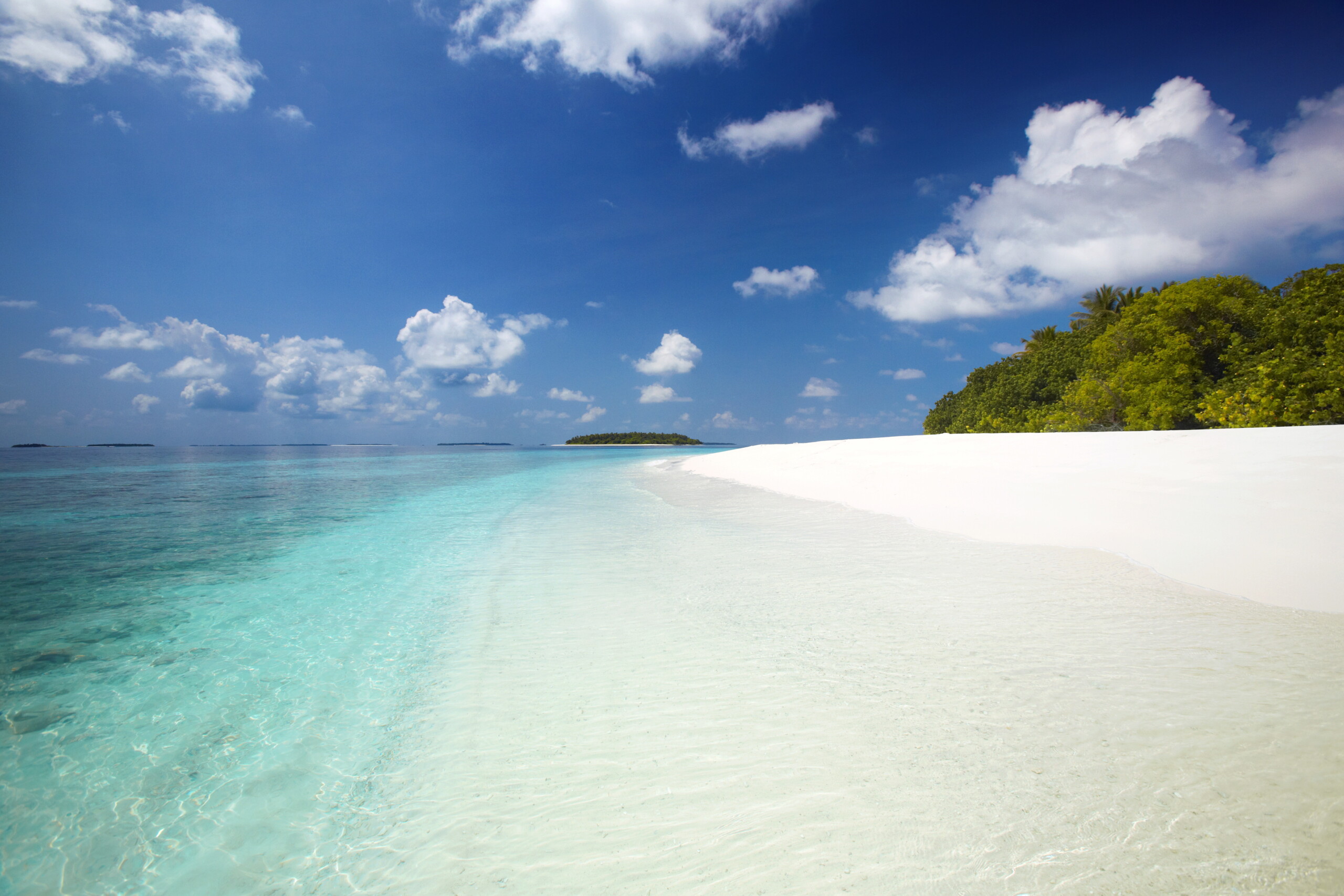 Maldives : cinq Italiens décèdent lors d'une plongée sous-marine 1 maldives cinq italiens decedent lors dune plongee sous marine scaled